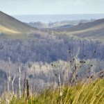 How God Uses Wildernesses by Ron DiCanni on Life Supernatural