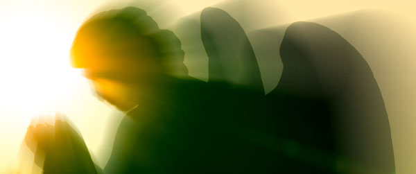 In the Company of Angels