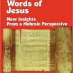 Understanding the Difficult Words of Jesus by David Bivin